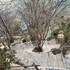 hotel casa justina