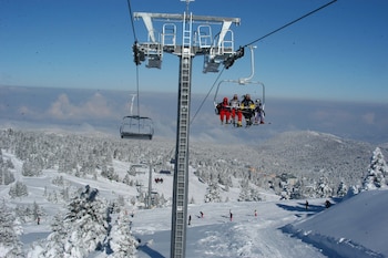 bursa