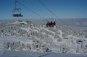 bursa
