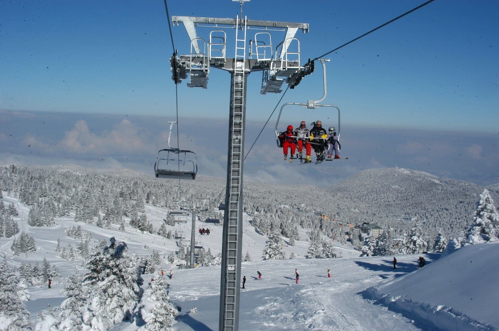 bursa