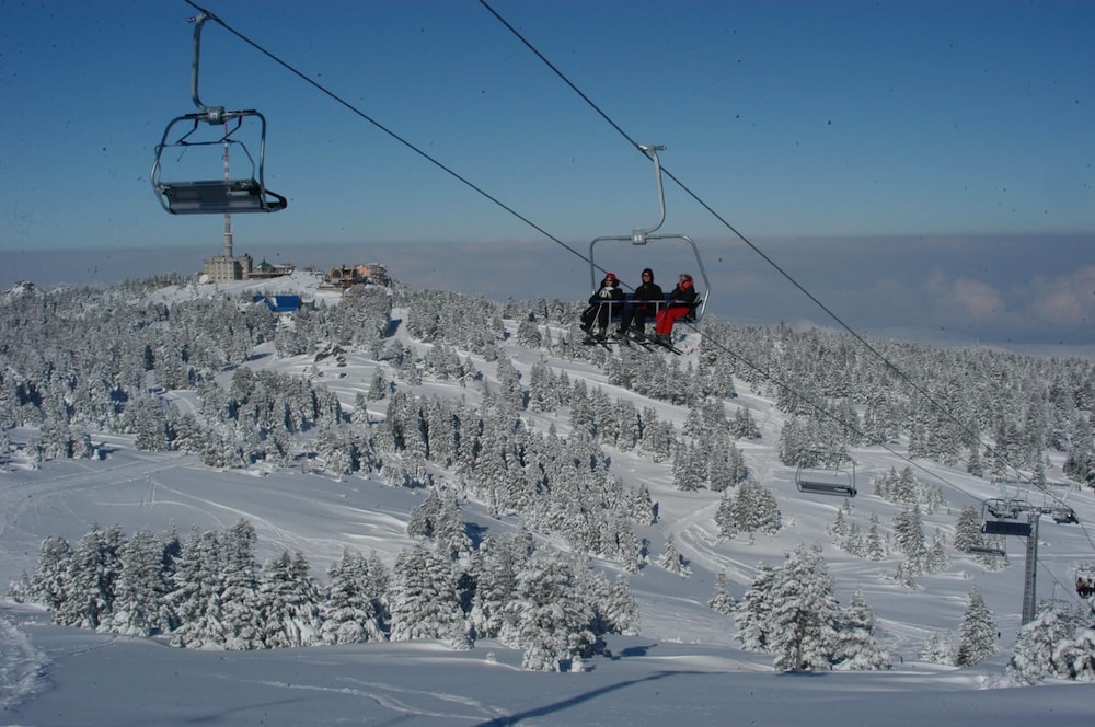 bursa