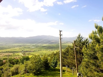 bolu