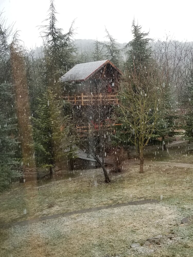 bolu