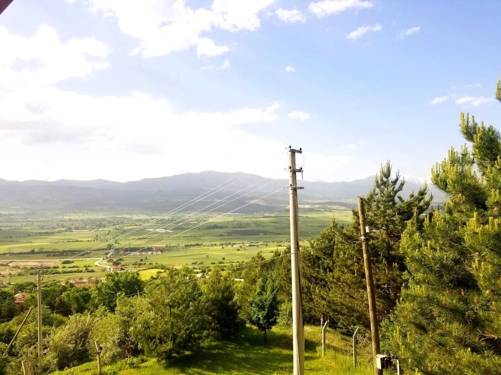 bolu