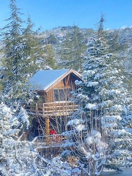 bolu