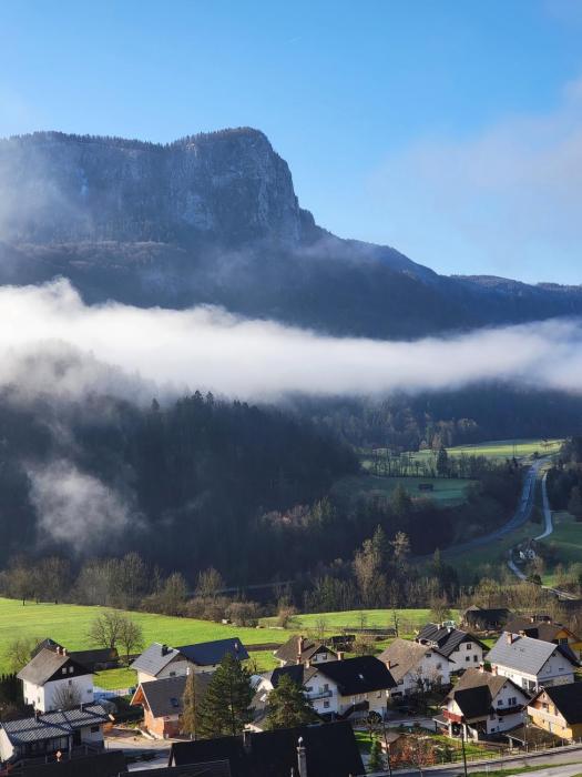 bella bela apartments