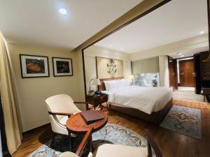 radisson hotel sonamarg