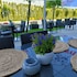 hotel soray