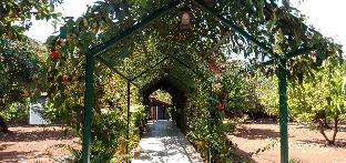 d star entertainment water parkandresort