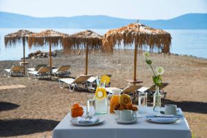 makis inn resort