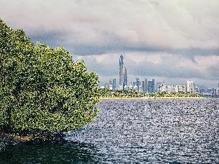 urcove by hyatt shenzhen futian cbd