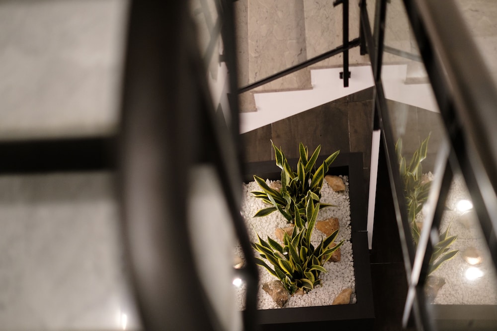 domea superior rooms