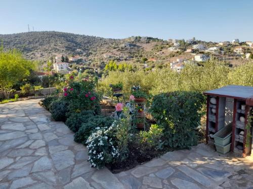 villa karmelina flat