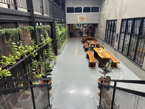 premier hostel chiang mai