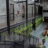 premier hostel chiang mai