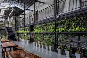premier hostel chiang mai