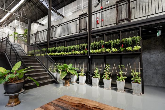 premier hostel chiang mai