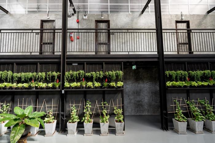 premier hostel chiang mai