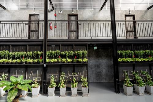 premier hostel chiang mai