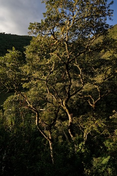akasha yoga resort and ecospa