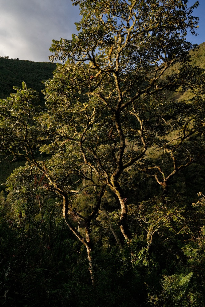 akasha yoga resort and ecospa
