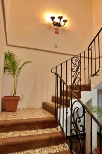 hotel posada el arcangel