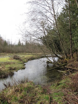 sasquatch crossing eco lodge bandb