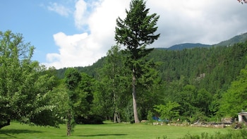 sasquatch crossing eco lodge bandb