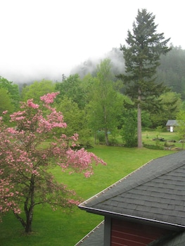 sasquatch crossing eco lodge bandb