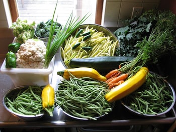 sasquatch crossing eco lodge bandb