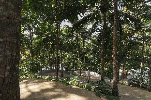 kunang kunang tent resort