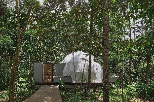 kunang kunang tent resort