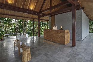 kunang kunang tent resort