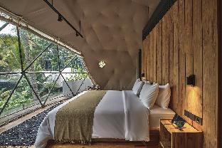 kunang kunang tent resort