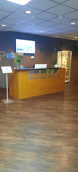 de schildkamp