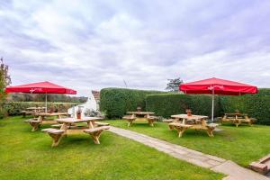 Black Horse Inn,Darlington>>Cumbria,5 star