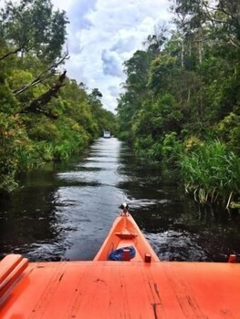 Rimba Orangutan Eco Lodge,Kumai>>Kalimantan,3 star