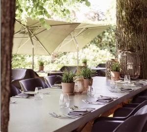 hotel de sterrenberg adults only