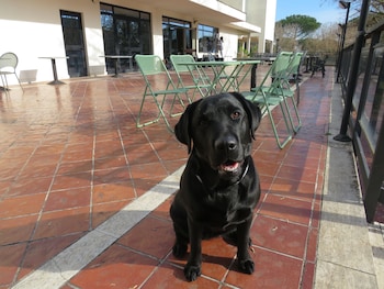 hotel torre di pratolungo