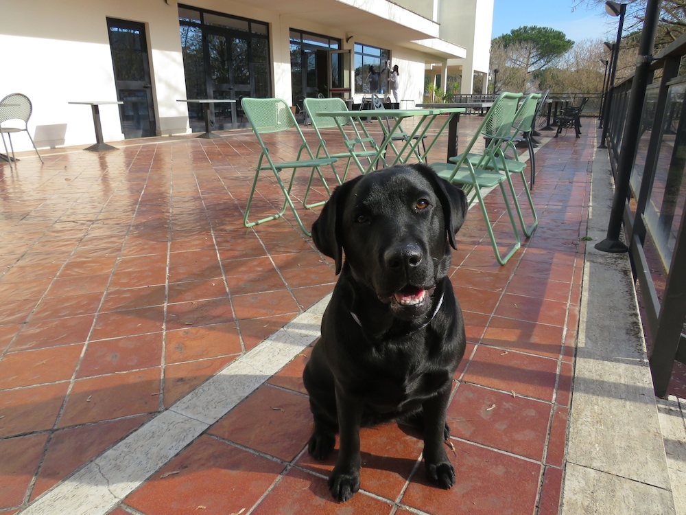 hotel torre di pratolungo