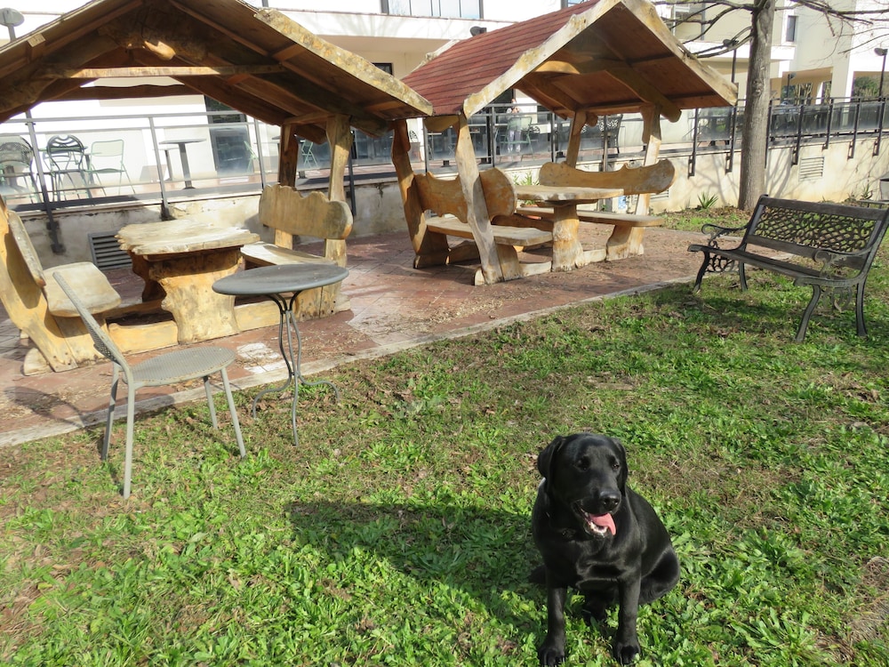 hotel torre di pratolungo