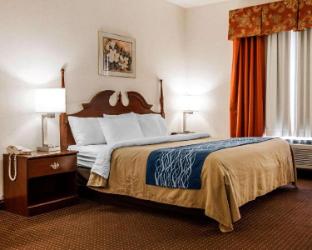 quality inn