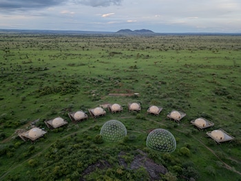 serengeti