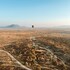 serengeti