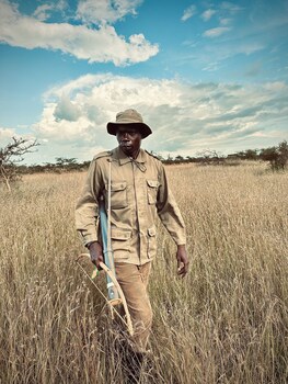 serengeti