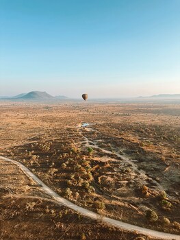 serengeti