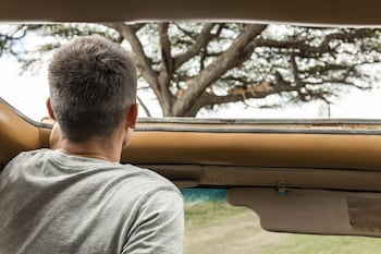serengeti