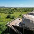 serengeti