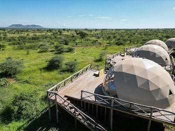 serengeti