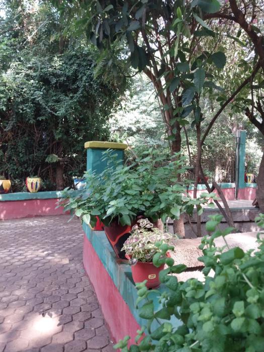 green garden guest house